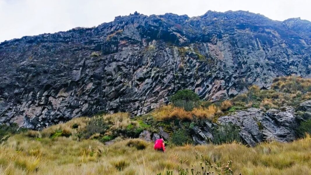rucu_pichincha_fallecido.jpg_1948601267